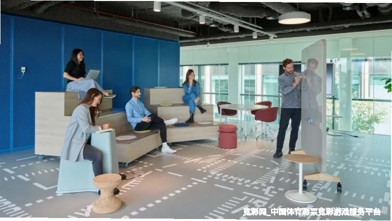 未来愿景与发展方向