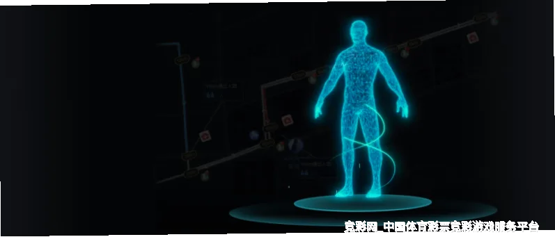 历史命中率展示